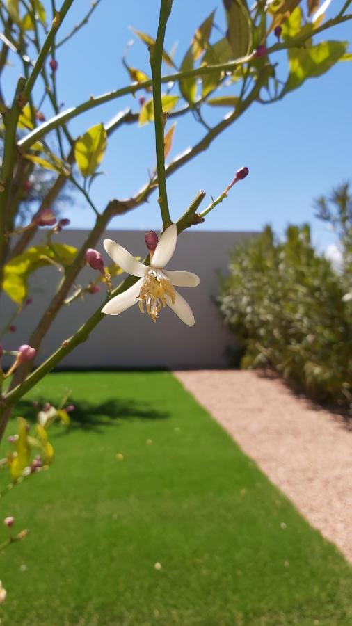 Villa Home Holiday A Cala Rossa 里奇 外观 照片