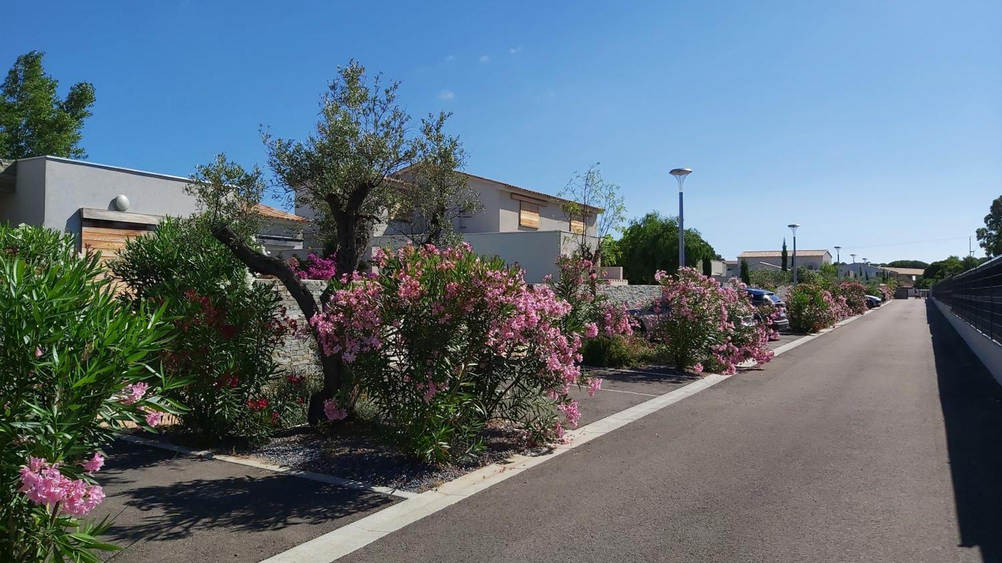 Villa Home Holiday A Cala Rossa 里奇 外观 照片