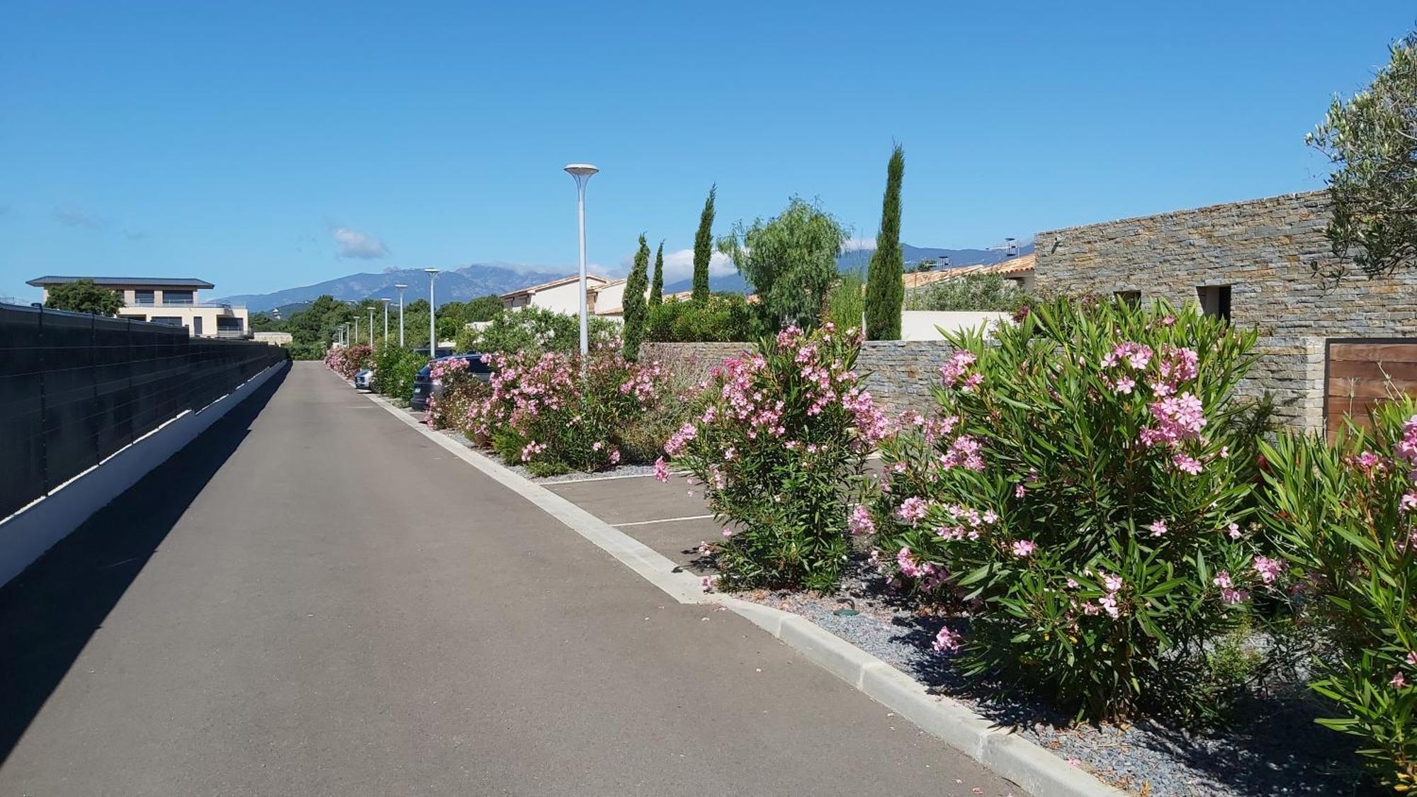 Villa Home Holiday A Cala Rossa 里奇 外观 照片